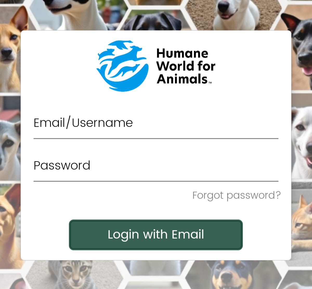 App Platform